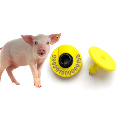 rfid tags for swine|840 pig tags for sale.